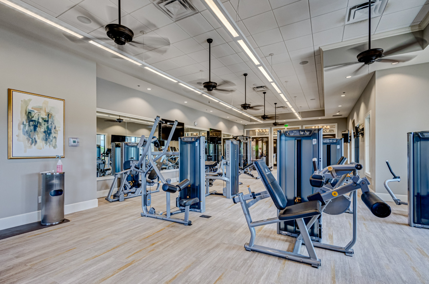 Gallery Image 100_07_5d1a6205